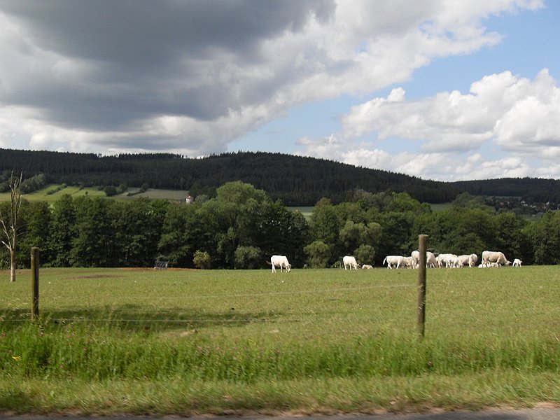 Rhoen-Radmarathon Nichtraucher 549